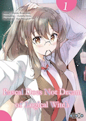 Rascal does not dream of logical witch, t. 01